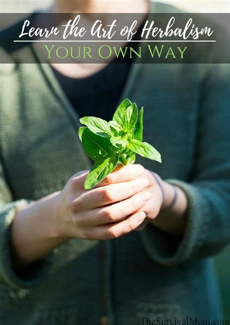 Learn the Art of Herbology in the Comfort of Your Own Home: A Comprehensive Guide for Beginners