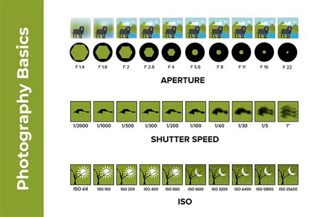 Learn the basics of photography.