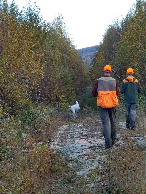 Learn to Hunt Safely in Maine: 10,000+ Hunters Trained Annually