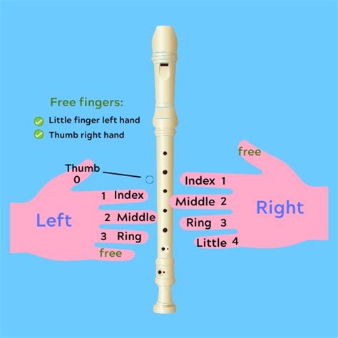 Learn to Play Recorder Kindle Editon