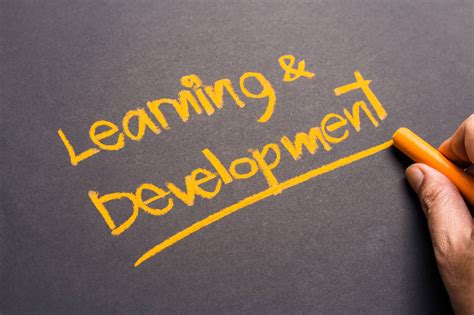 Learning and Development: A Vital Investment for Business Success