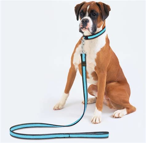 Leash: