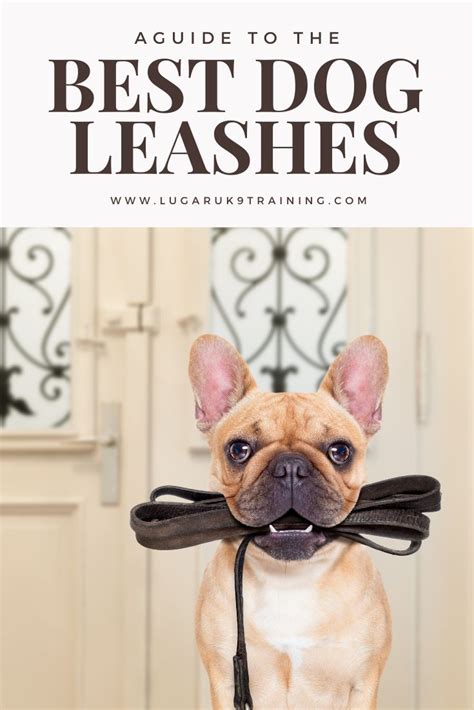 Leashes: Pros and Cons