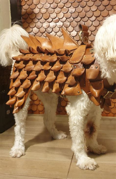 Leather Dog Armor: A Comprehensive Guide for Canine Protection