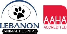 Lebanon Animal Hospital: A Comprehensive Guide to Exceptional Veterinary Care in Lebanon, Oregon