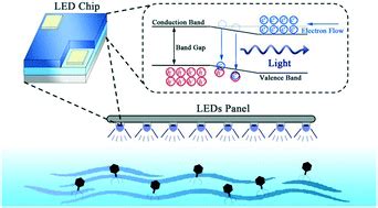 Led a UV Revolution: 12345 Applications for UV Technology