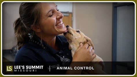 Lee's Summit Animal Control: Your Go-To Guide for Pet Safety