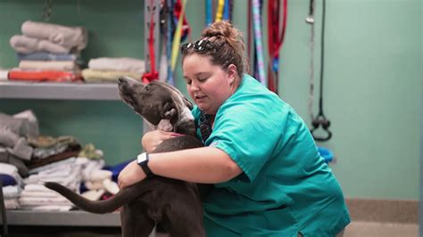 Lee County Animal Control: 5 Surprising Facts That Will Blow Your Mind