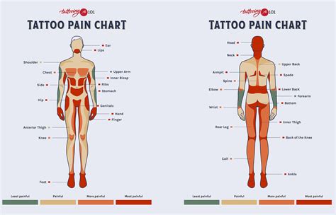 Leg Tattoo Placement Chart