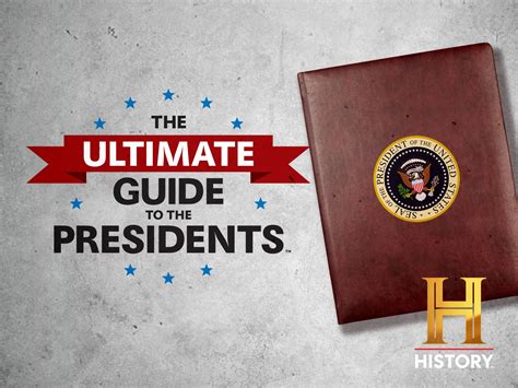 Legal Vice President: The Ultimate Guide