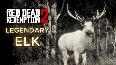 Legendary Elk RDR2: The Ultimate Guide