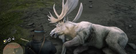 Legendary Elk Stats