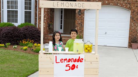 Lemonade Inc. Customer Service: Helping You Make the Most of Your Lemonade Stand