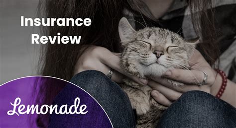 Lemonade Insurance Pet: The Ultimate Guide to 4-Legged Coverage