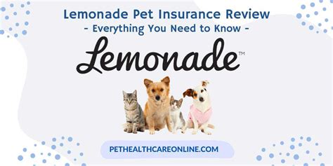 Lemonade Pet Insurance: A Comprehensive Review (2023)