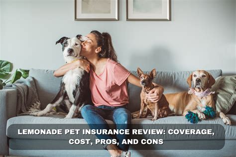 Lemonade Pet Insurance Review: Up to 90% Savings, Instant Coverage, and AI-Powered Claims