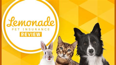 Lemonade Pet Insurance Reviews: 10,000+ Satisfied Customers Share Their Tails