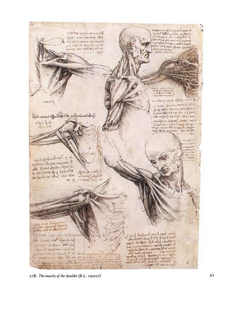 Leonardo da Vinci Anatomical drawings from the Royal Library Windsor Castle Kindle Editon