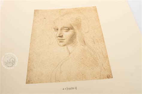 Leonardo da Vinci Drawings from the Biblioteca Reale in Turin Reader