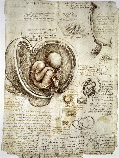 Leonardo da Vinci medical illustrator Doc