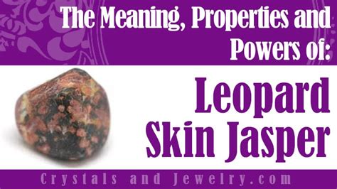 Leopard Jasper Crystal Meaning: A Comprehensive Guide to Its Energy and Lore