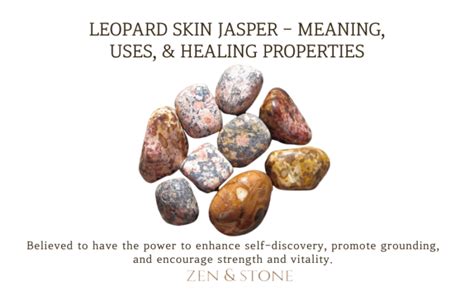 Leopard Jasper Crystal Meaning: A Stone of Grounding, Protection, and Courage