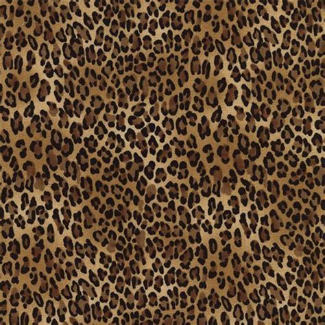 Leopard Print: A Timeless Classic