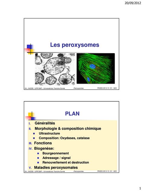 Les peroxysomes UFR SMP UniversitÃ© de Franche ComtÃ© pdf Doc