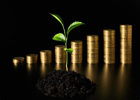 Less Invest, Achieve More: How to Lessinvest and Grow Your Business