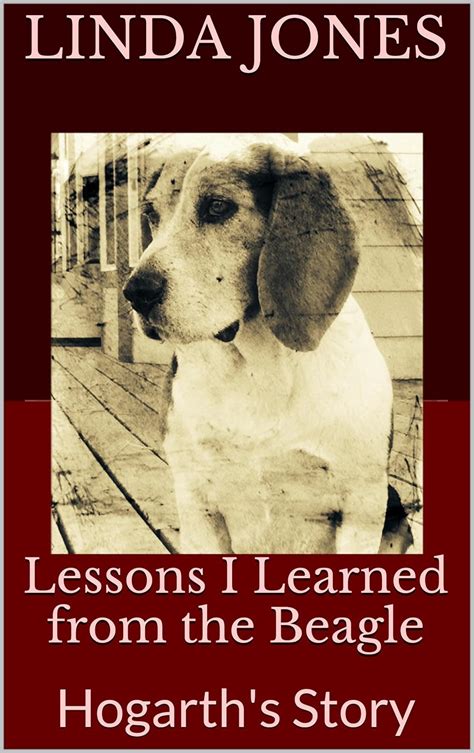 Lessons I Learned from the Beagle Hogarth s Story