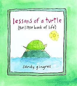Lessons of a Turtle The Little Book of Life by Sandy Gingras 2009-03-17 Reader