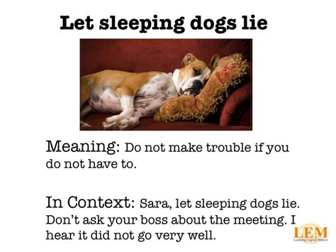 Let Sleeping Dogs Lie Reader