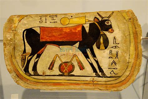 Letopolis Animals: A Comprehensive Guide to the Ancient Egyptian City of Animals