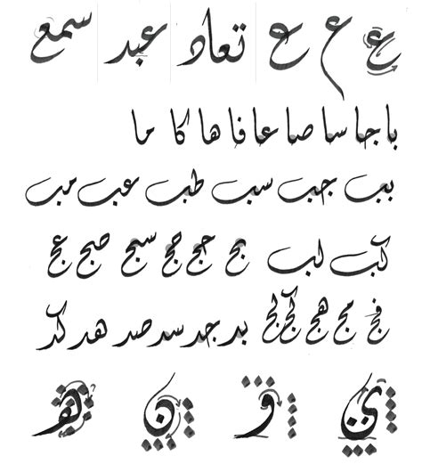 Lettering Traditional Lettering and Calligraphy with Chinese and Arabic Script-Learn to Ink and Border like a Pro PDF