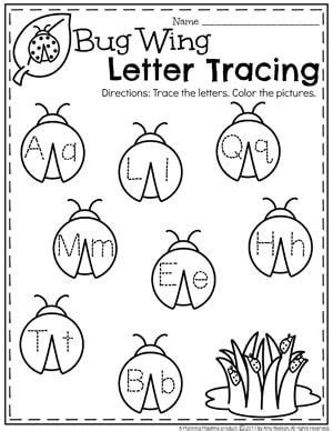 Letters to June Bug PDF