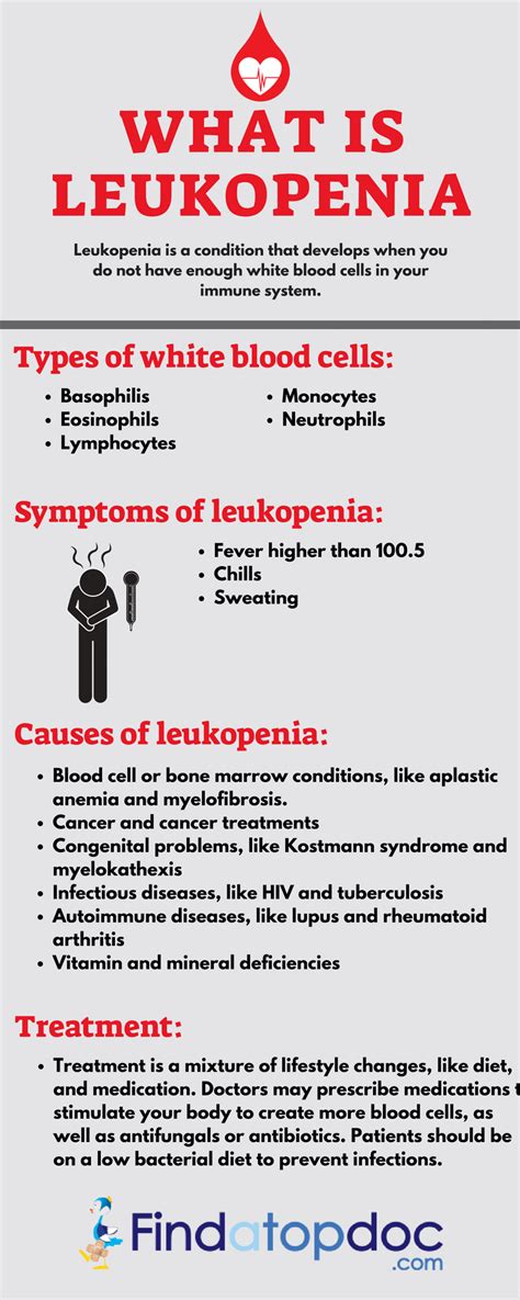 Leukocytes Low Blood Count: Causes and Treatment