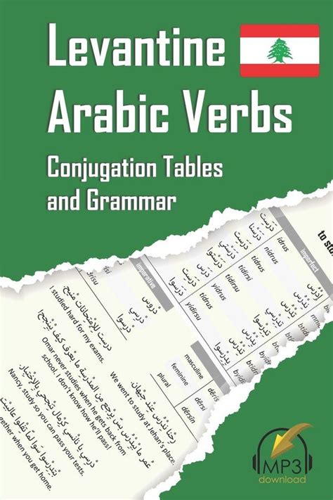 Levantine Arabic Verbs Conjugation Tables and Grammar Kindle Editon