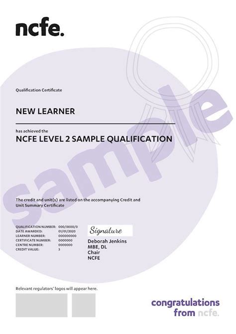 Level 2 3 Award Certificate In Supporting Individuals With Ebook Reader