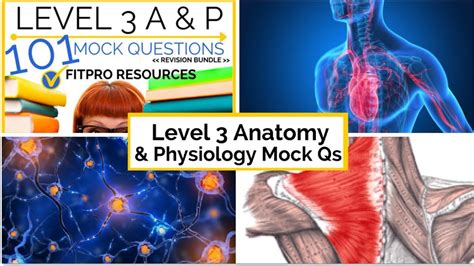 Level 3 Anatomy And Physiology Mock Exam Answers Kindle Editon