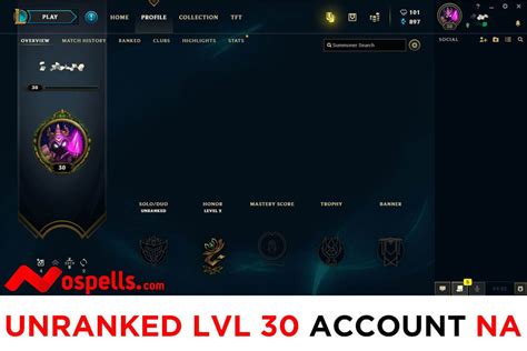 Level 30 League Account: Join the Elite League of Legends Players