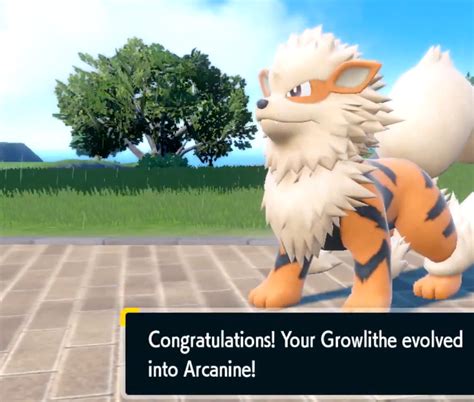 Level 410 Growlithe Evolves into Arcanine: A Deep Dive into the Journey of Transformation