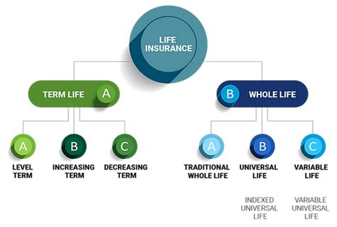 Level Premium Term Life Insurance Policies: Your Ultimate Guide to Affordable Protection