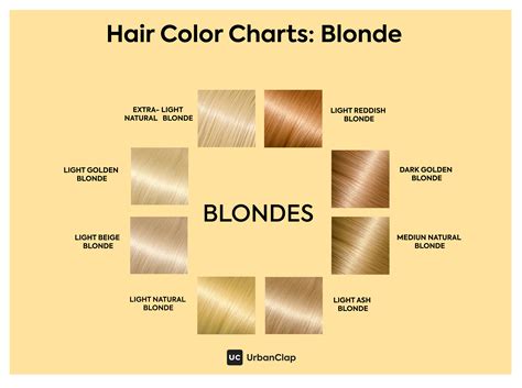 Levels Of Blonde Hair Chart