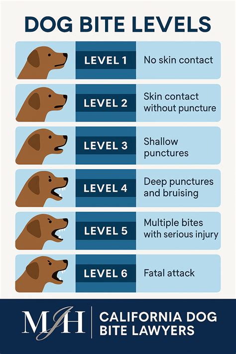 Levels Of Dog Bites Chart