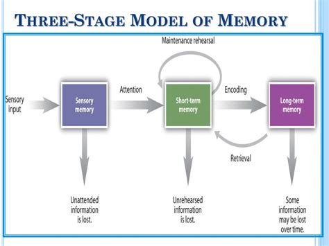 Levels of Processing in Human Memory Kindle Editon