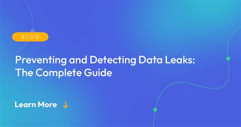 Lexi2Legit: A Comprehensive Guide to Understanding and Preventing Data Leaks