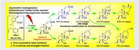 Li Jian Total Synthesis: A Revolutionary Approach to Pharmaceutical Production