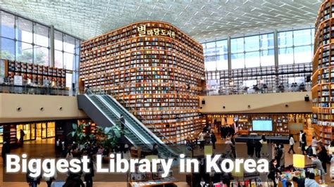 Libraries and Librarianship in Korea PDF