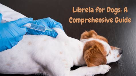 Librela Shot for Dogs: The Ultimate Guide to Managing Canine Osteoarthritis