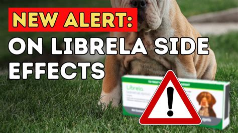 Librela Side Effects in Dogs: What You Need to Know